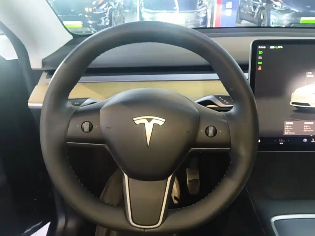 Tesla Model Y — миниатюра 11