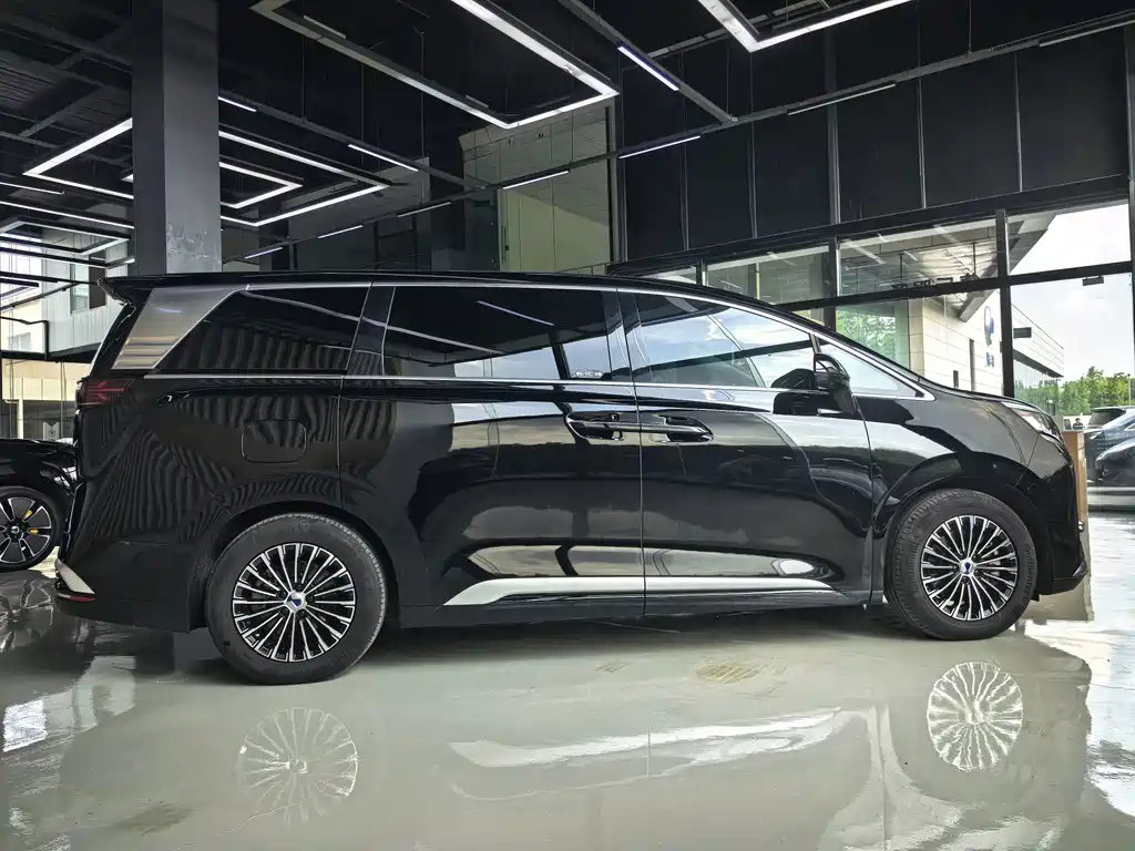 Denza Denza D9 — миниатюра 14