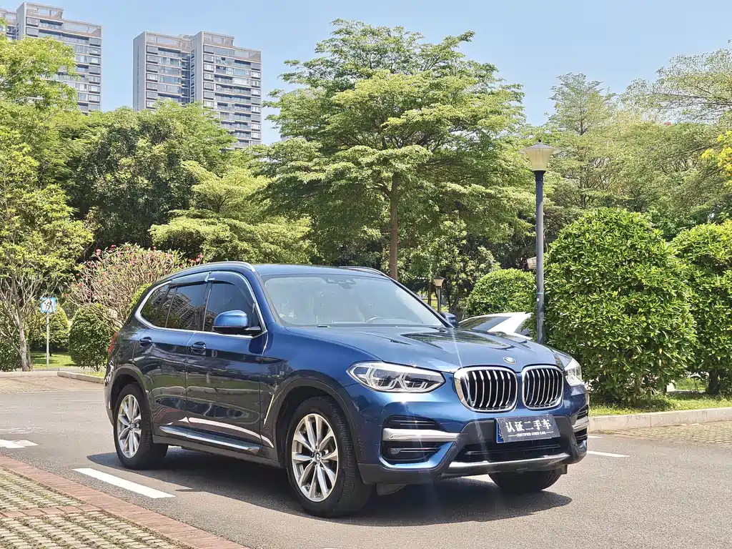 BMW X3 2020 xDrive25i Luxury