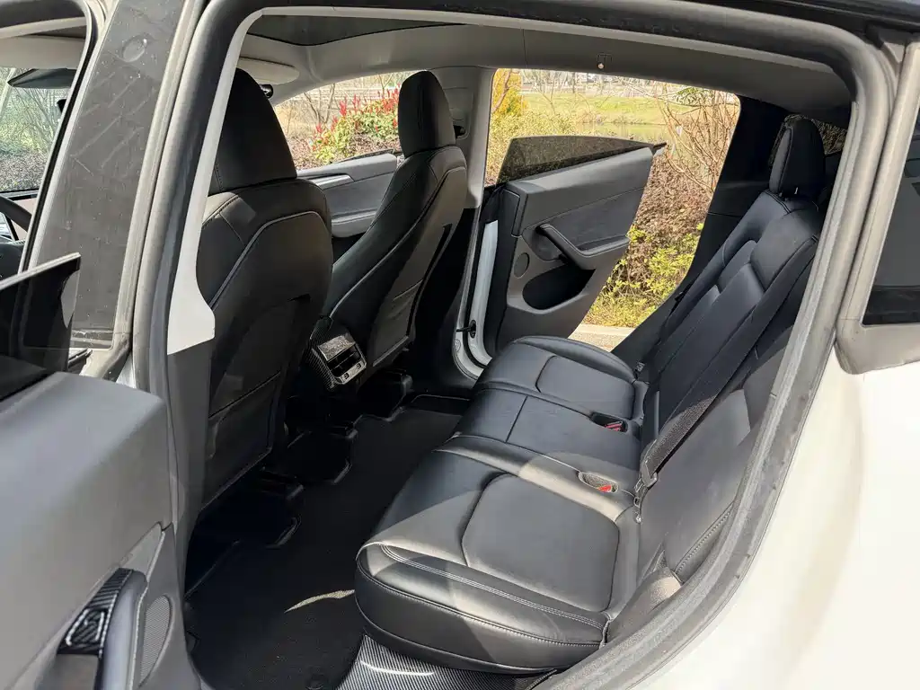 Tesla Model Y — миниатюра 3