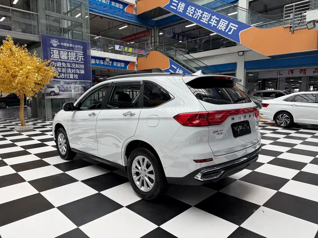 Haval M6 — миниатюра 7