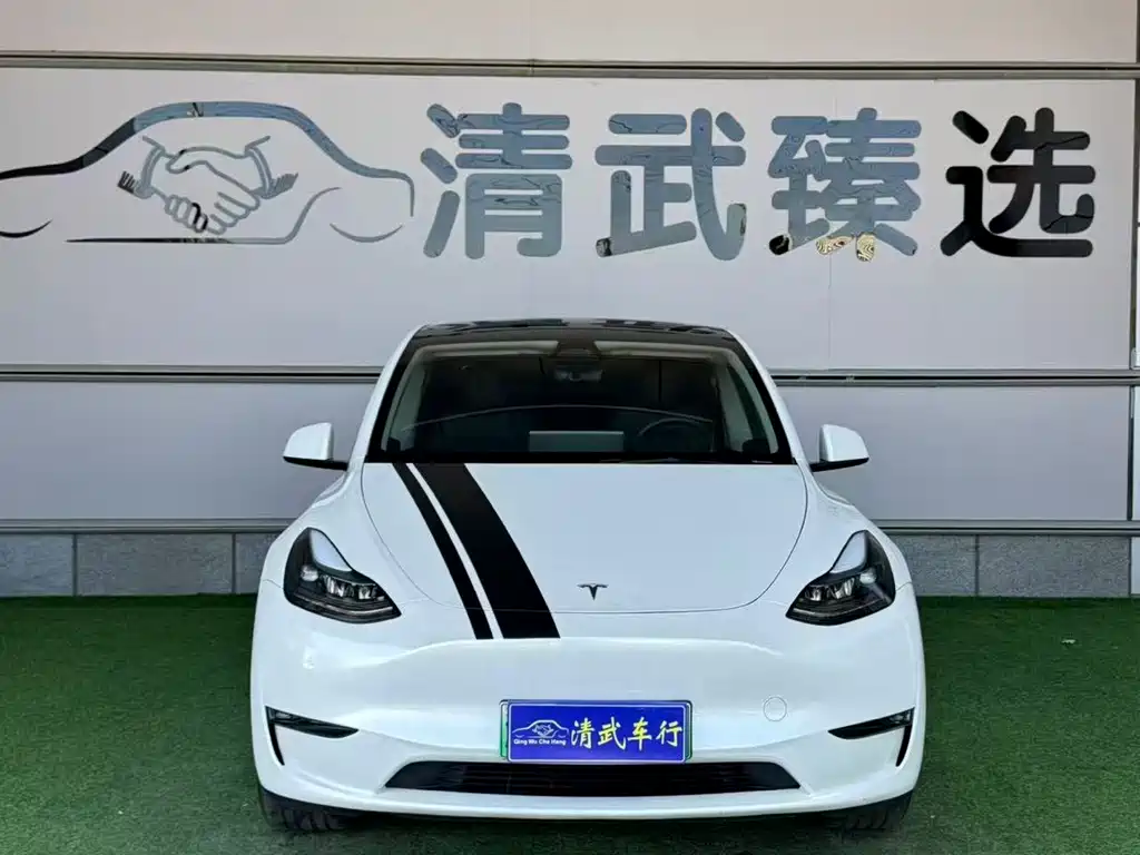 Tesla Model Y — миниатюра 3