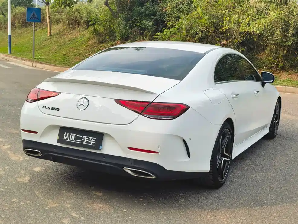 Mercedes-Benz CLS 2021 CLS 300 Luxury