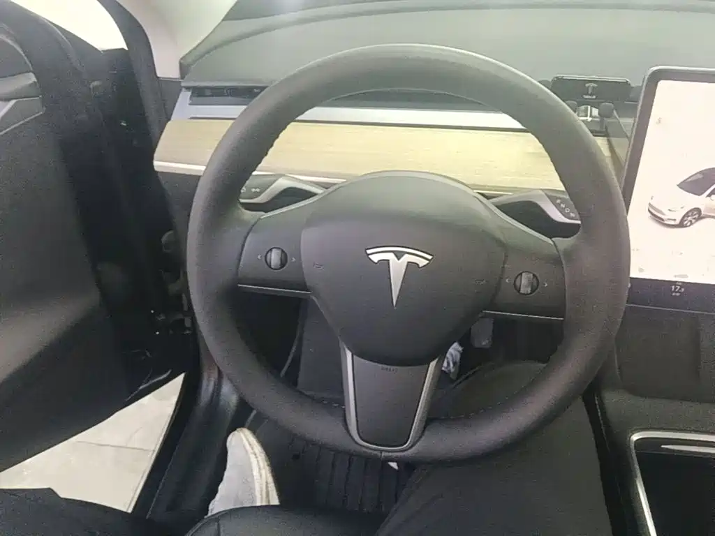 Tesla Model Y — миниатюра 11