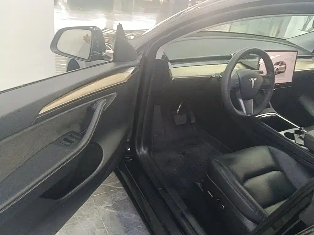 Tesla Model Y — миниатюра 16