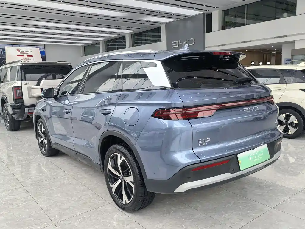 BYD Pro New Energy — миниатюра 10