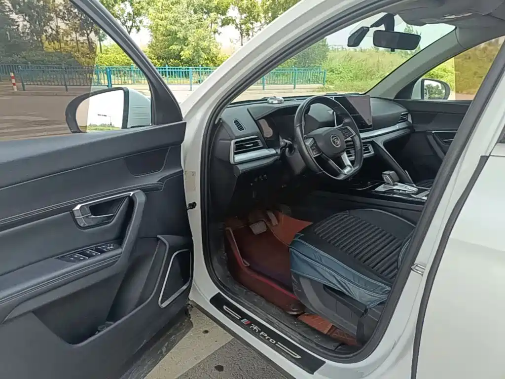 BYD Pro — миниатюра 16