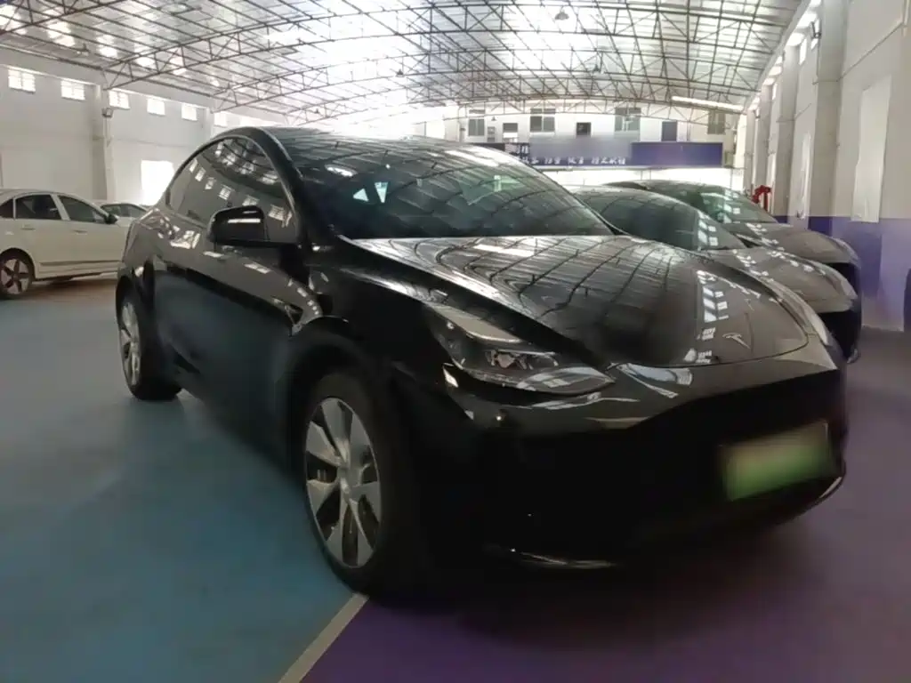 Tesla Model Y — миниатюра 4