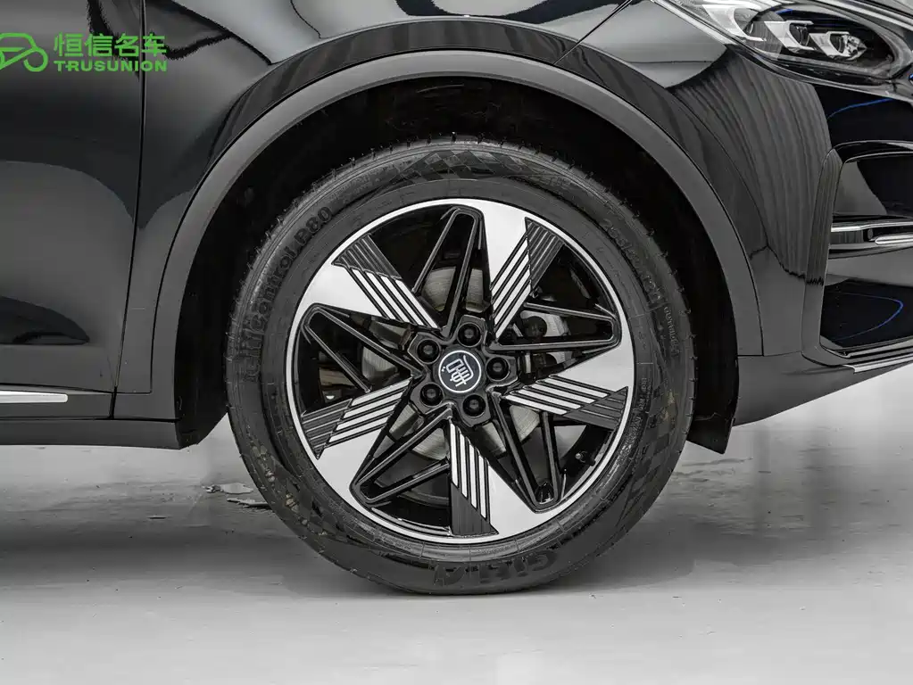 BYD Tang New Energy — миниатюра 11