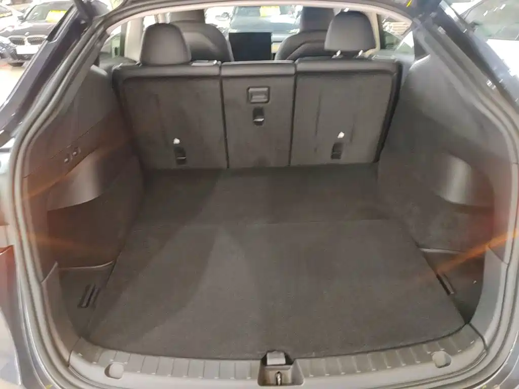 Tesla Model Y — миниатюра 19