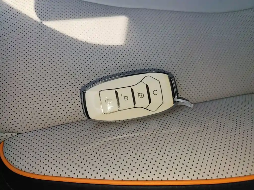 BYD PLUS New Energy — миниатюра 9