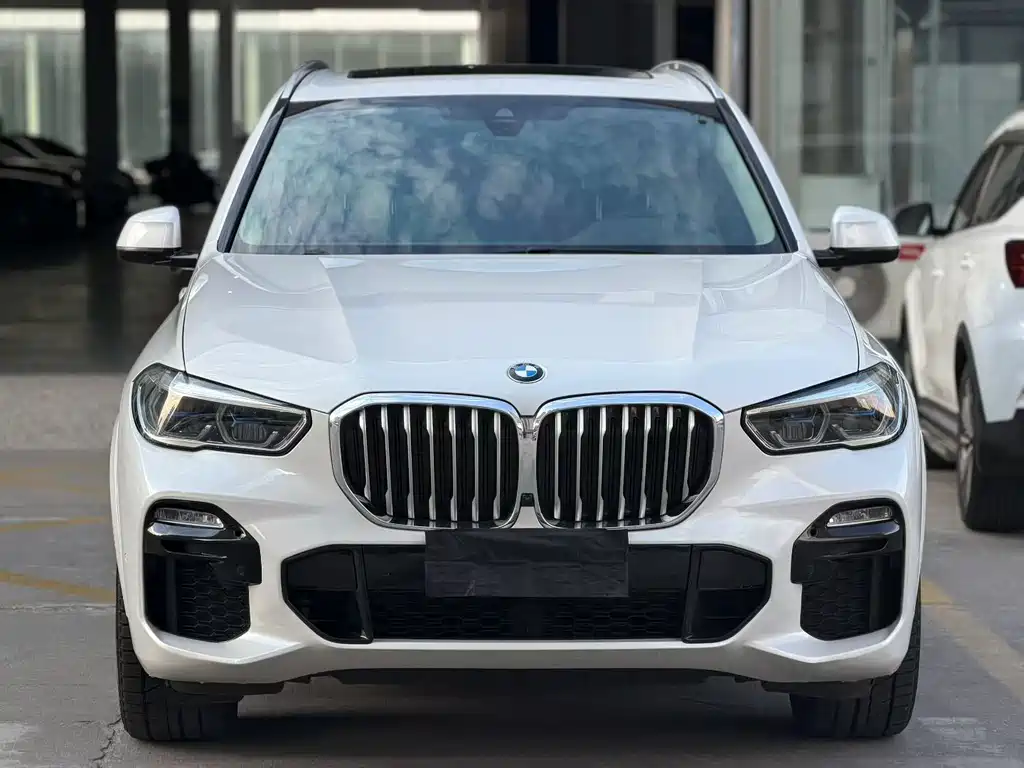 BMW X5 (Import) — миниатюра 2