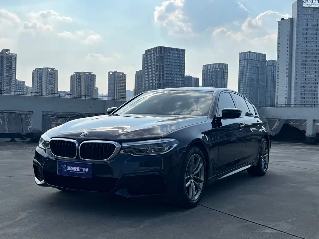 BMW 5 Series (Import) — миниатюра 2