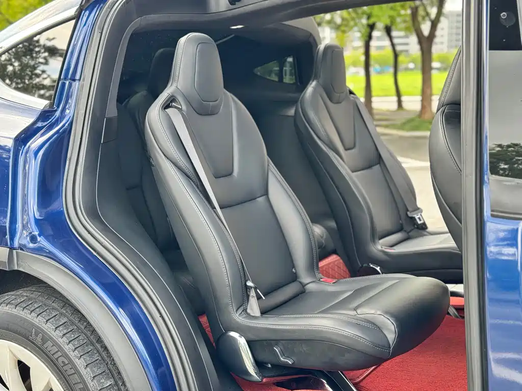 Tesla Model X — миниатюра 13