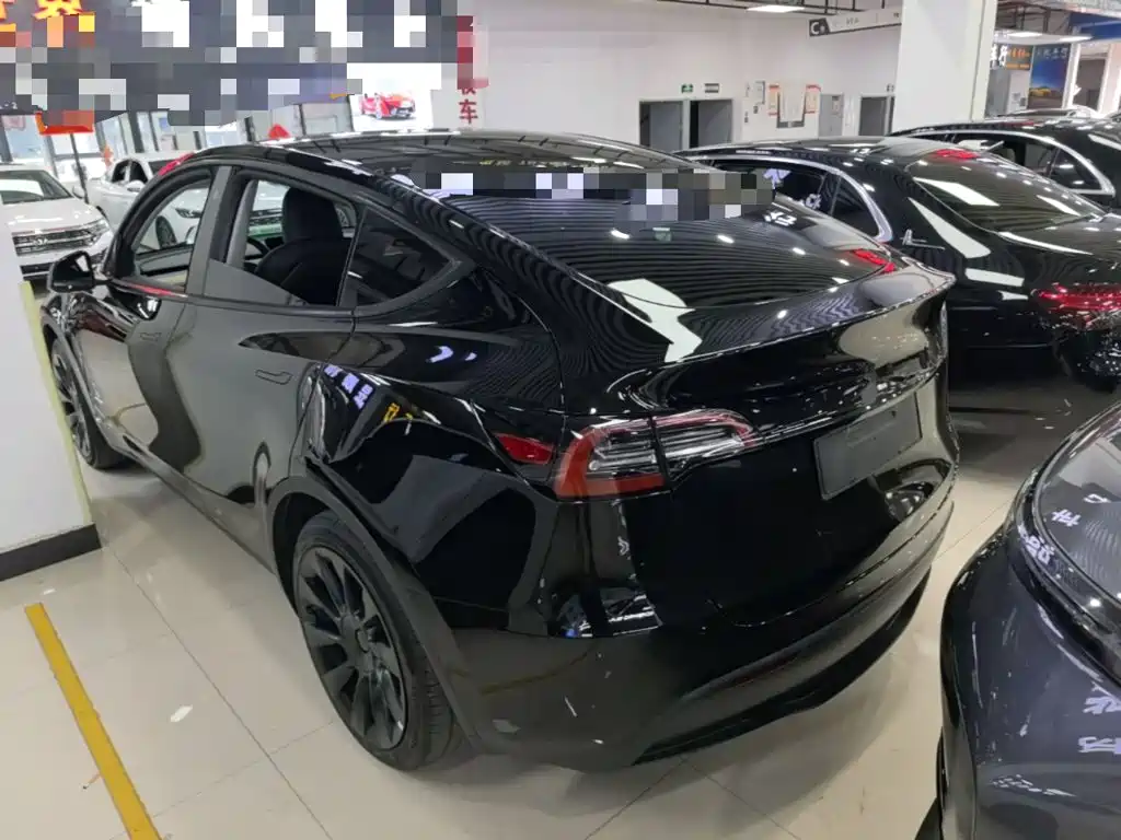 Tesla Model Y — миниатюра 5