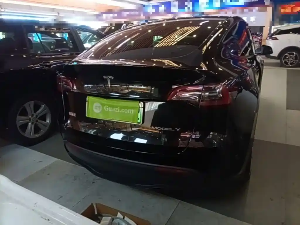 Tesla Model Y — миниатюра 6