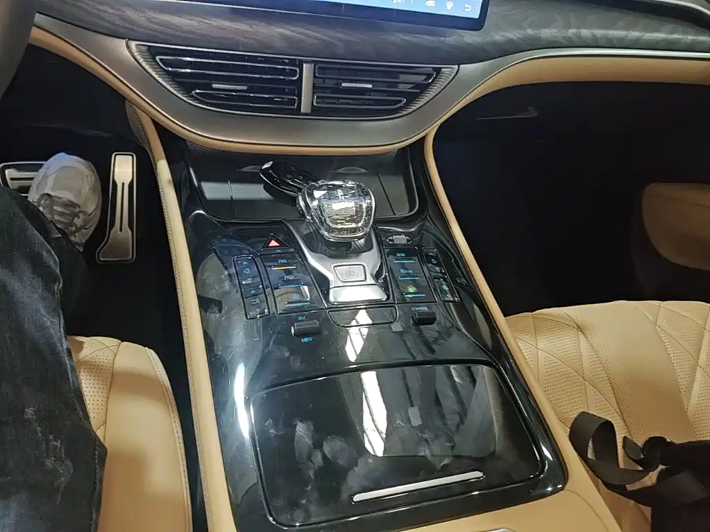 Denza Denza D9 — миниатюра 14