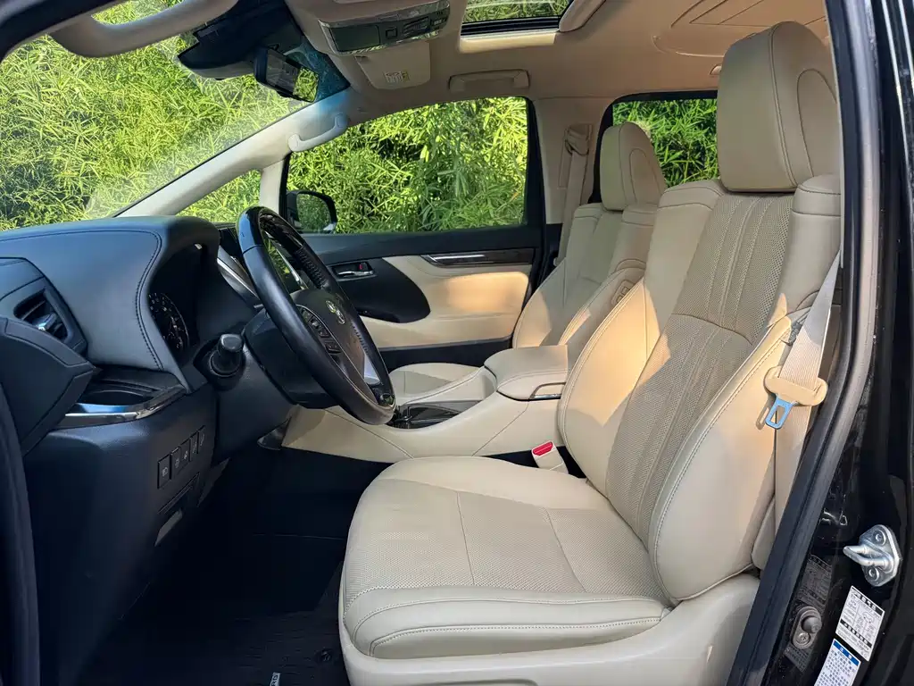 Toyota Alphard — миниатюра 4