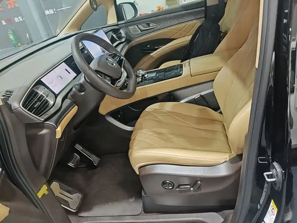 Denza Denza D9 — миниатюра 15