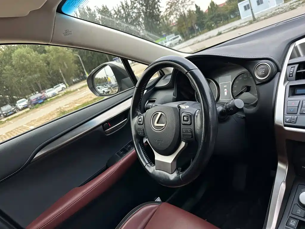 Lexus NX — миниатюра 19