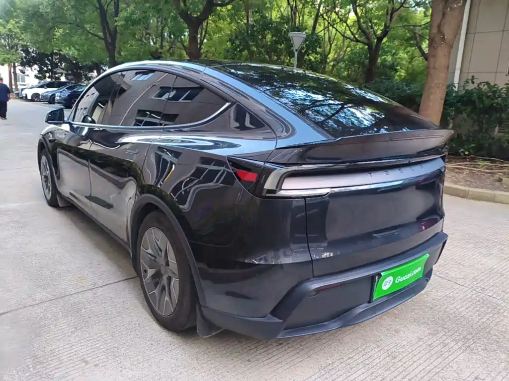 Tesla Model Y L — миниатюра 5