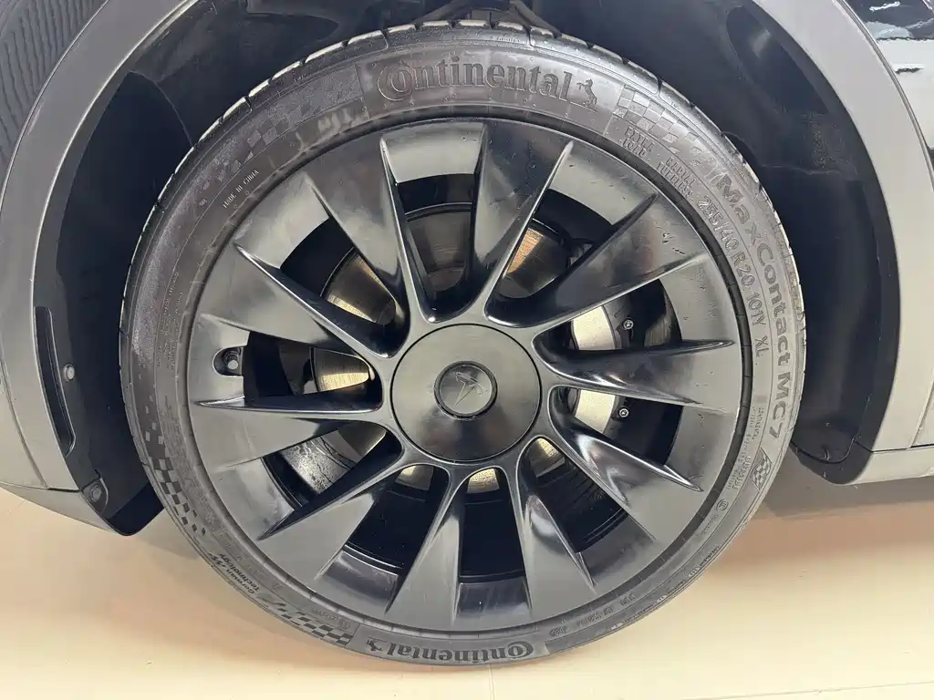 Tesla Model Y — миниатюра 7