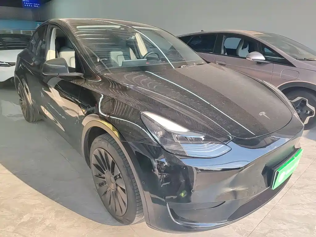 Tesla Model Y — миниатюра 4