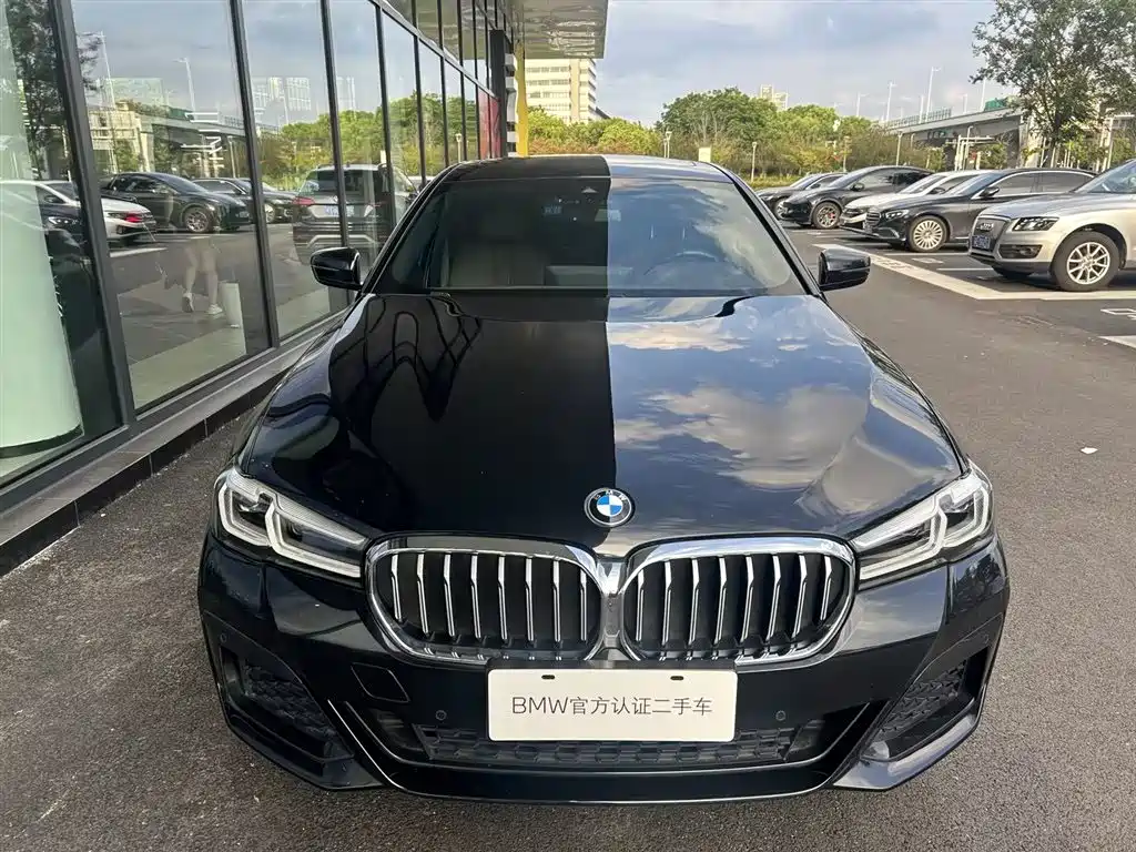 BMW 5 Series — миниатюра 2