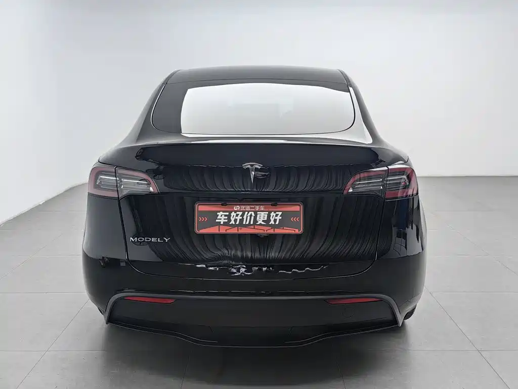 Tesla Model Y — миниатюра 4