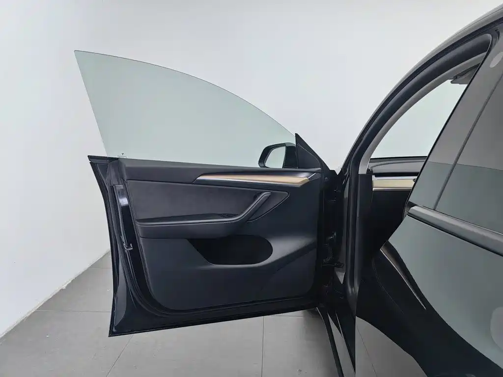 Tesla Model Y — миниатюра 8