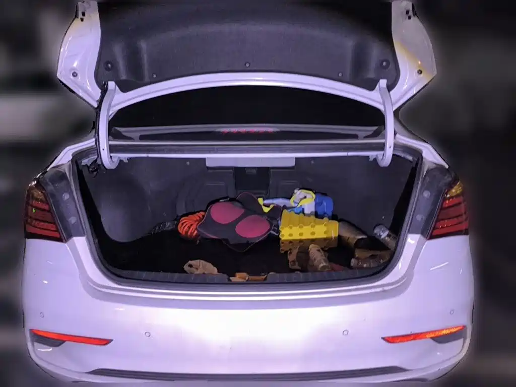Hyundai Mistra — миниатюра 15