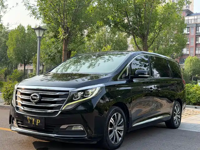 2018 GAC GN8