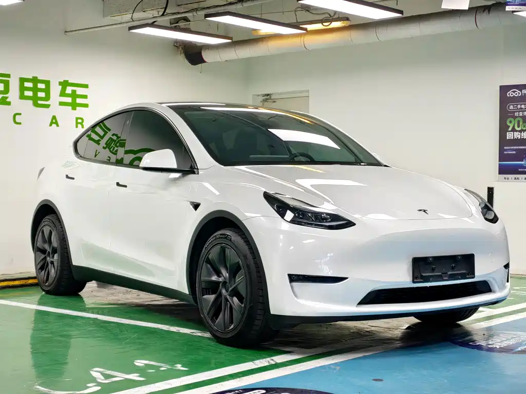 Tesla Model Y — миниатюра 5
