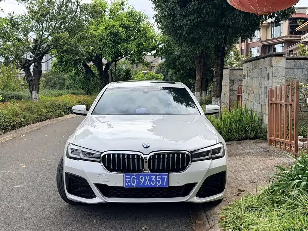 BMW 5 Series — миниатюра 2