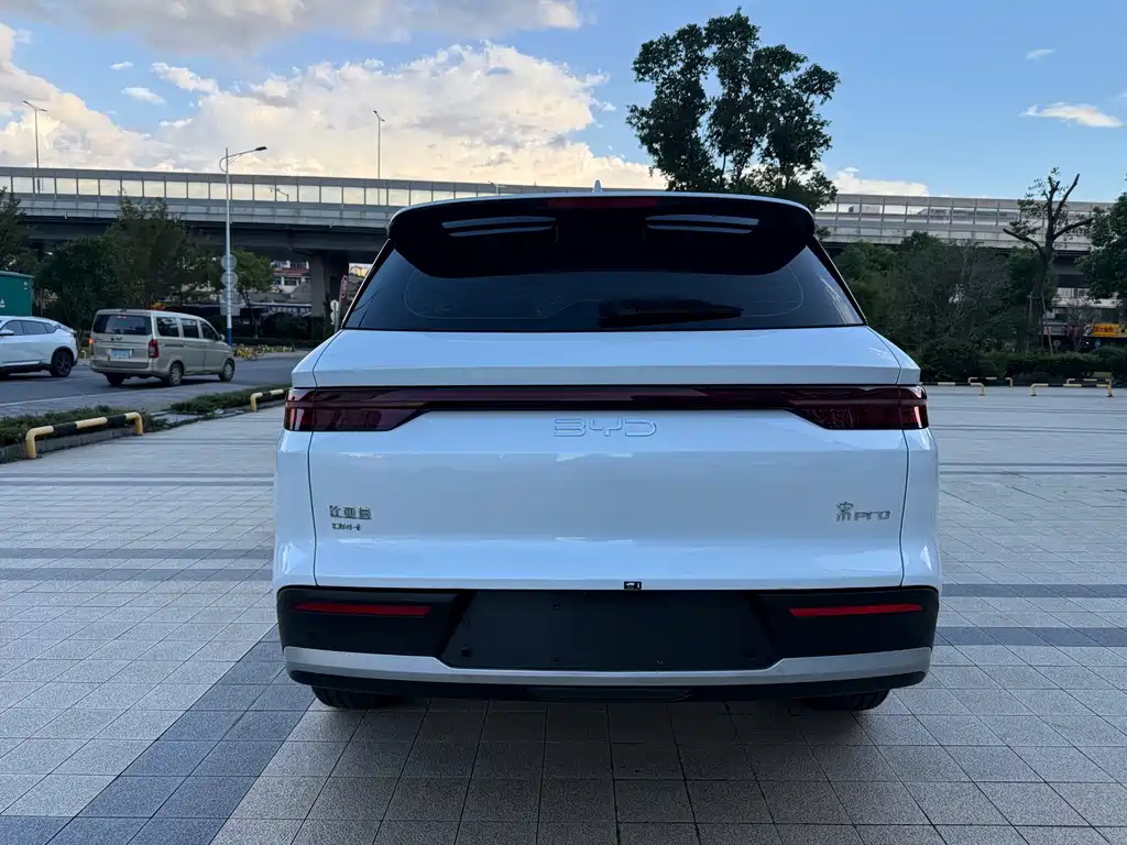 BYD Pro New Energy — миниатюра 13