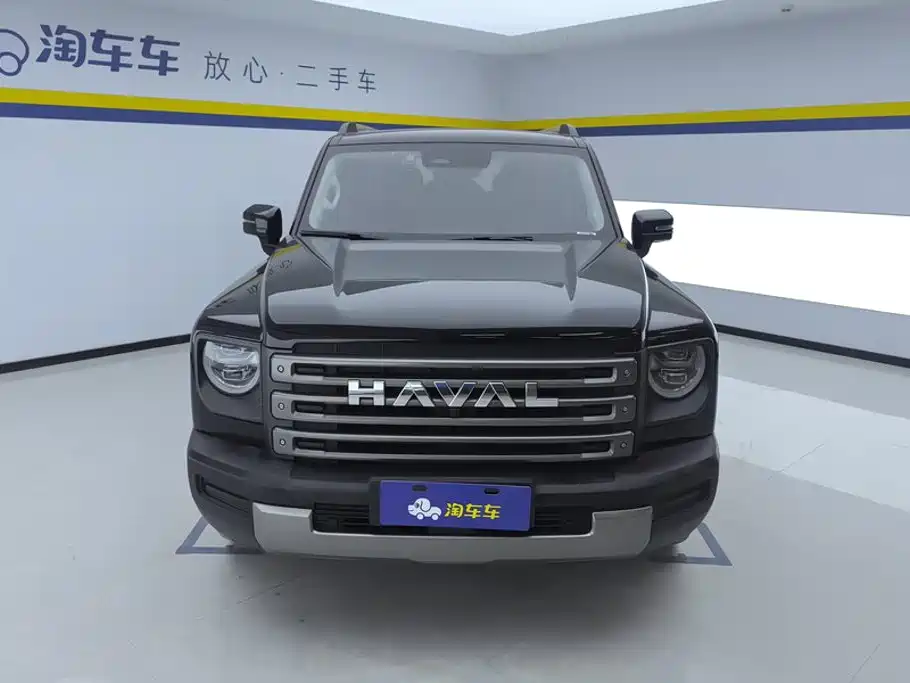 Haval Menglong New Energy — миниатюра 2