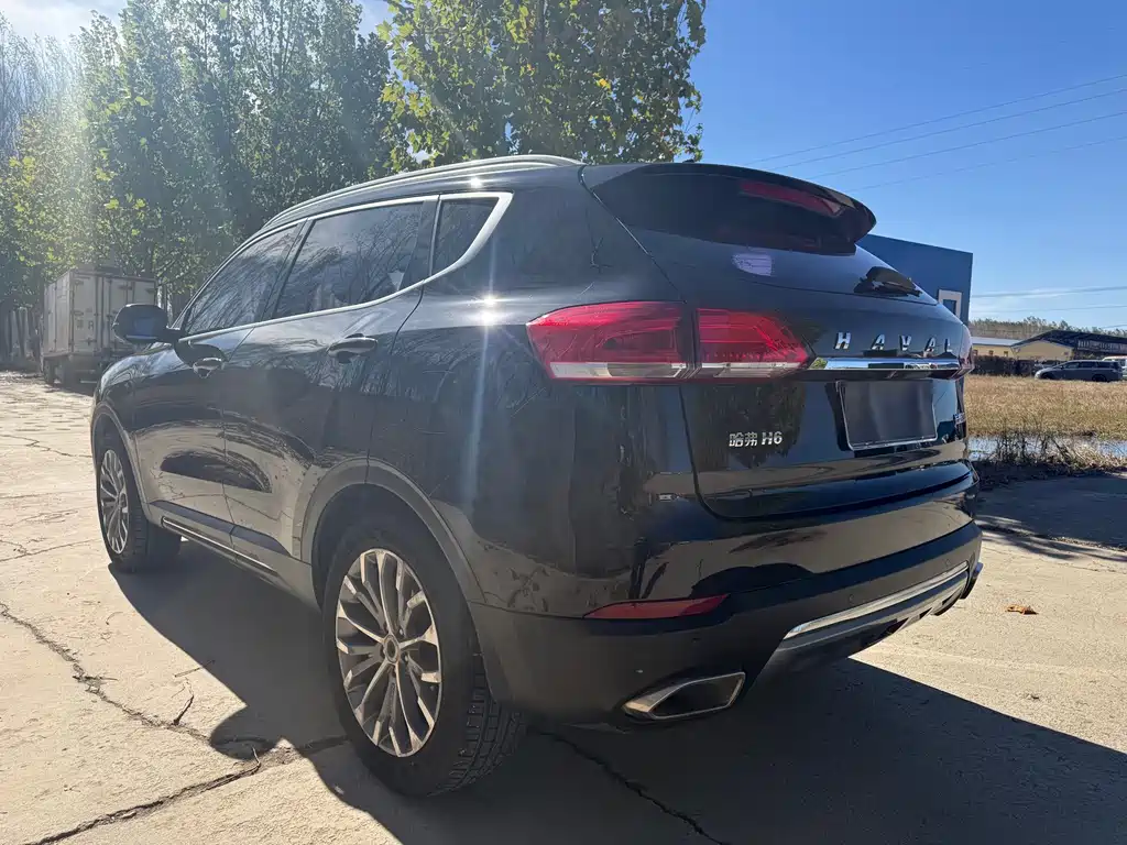 Haval H6 — миниатюра 5