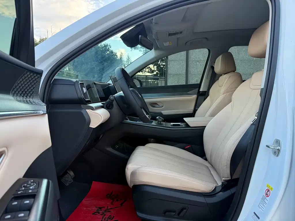 BYD Pro New Energy — миниатюра 4