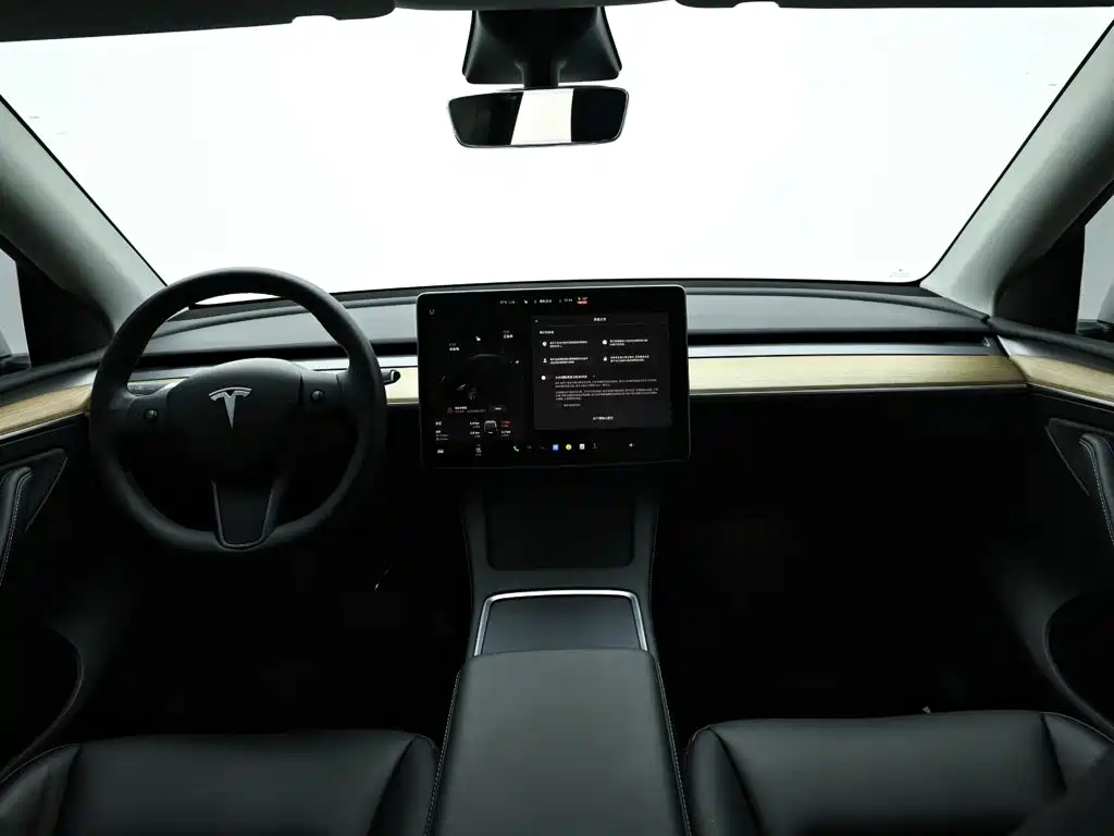 Tesla Model Y — миниатюра 15