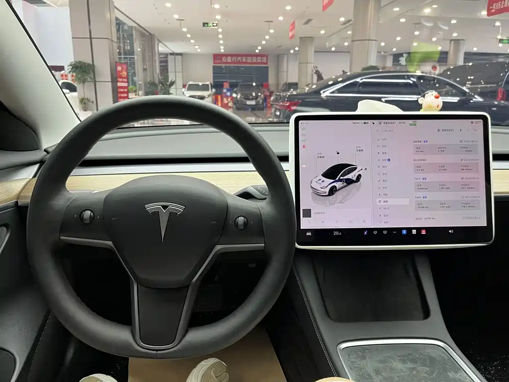 Tesla Model 3 — миниатюра 19