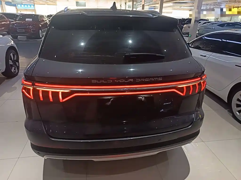 BYD Pro — миниатюра 6