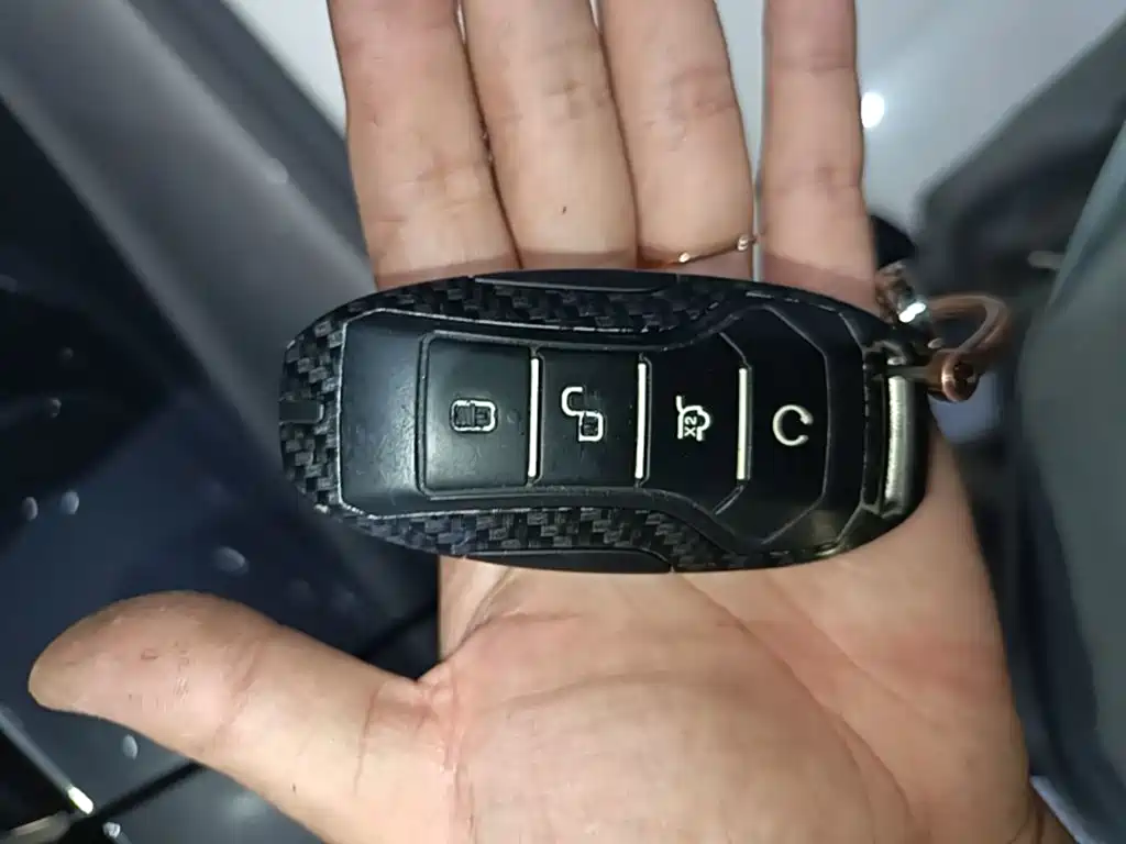 BYD Pro — миниатюра 9