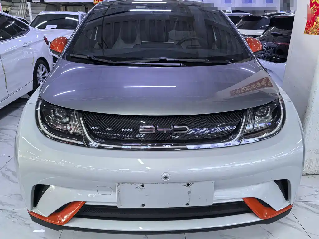 BYD Dolphin — миниатюра 2