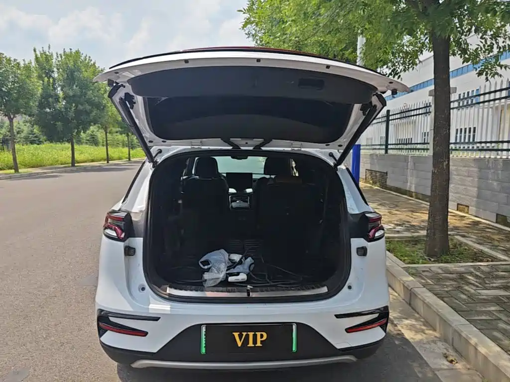 BYD Tang New Energy — миниатюра 19