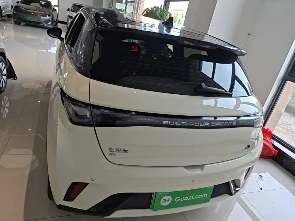 BYD Dolphin — миниатюра 6