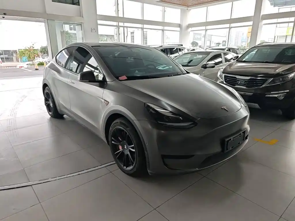 Tesla Model Y — миниатюра 4