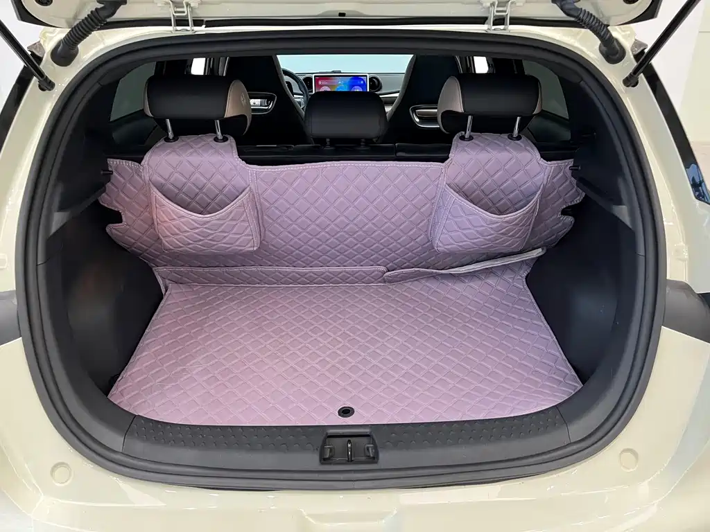 BYD Dolphin — миниатюра 13