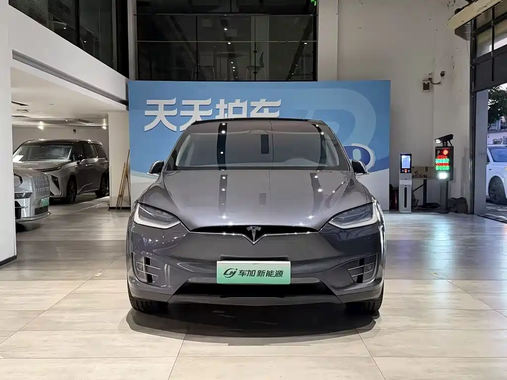 Tesla Model X — миниатюра 2