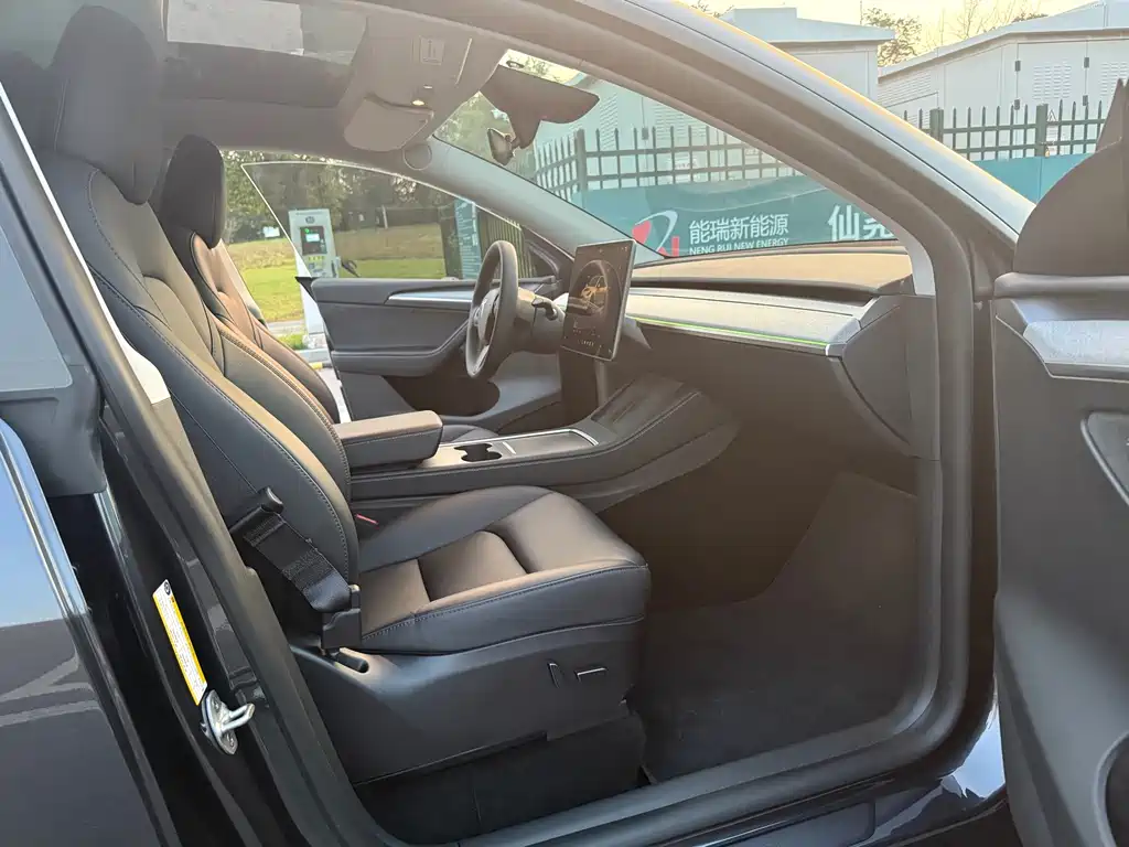 Tesla Model Y — миниатюра 10