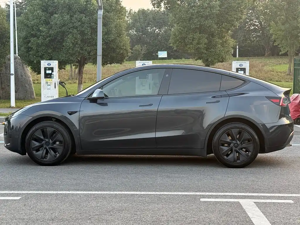 Tesla Model Y — миниатюра 7